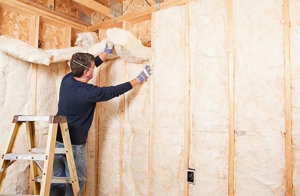 Best Radiant Barrier Insulation  in New Smyrna Beach, FL